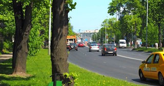 Посадка деревьев и кустарников в Великом Устюге — стоимость от 1221 руб.
